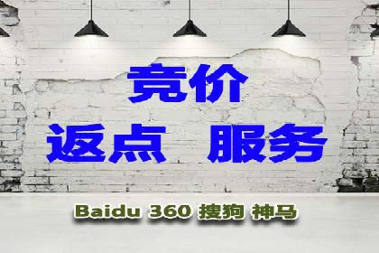 某电商平台的SEM广告投放策略及效果评估
