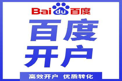 百度竞价排名案例分析：提升网站流量与转化率